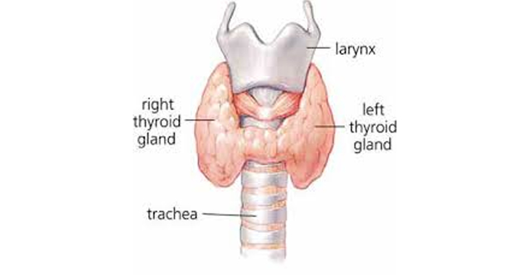 best Thyroid Surgeon in Faridabad